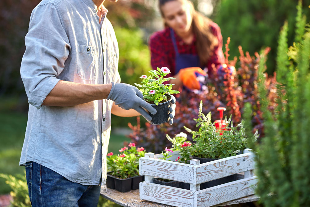 Gardener in garden gloves puts the pots with seedlings in the white wooden box on the table and a girl prunes plants in the wonderful nursery-garden on a sunny day