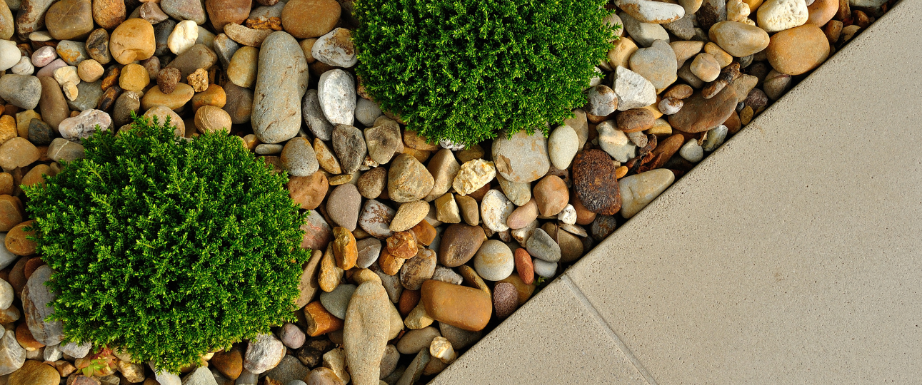 A pathway and gravel with small shrub plants