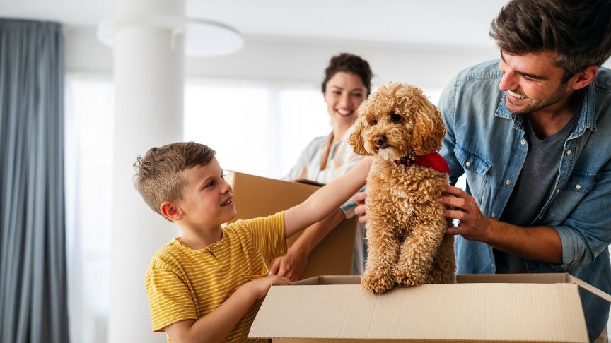 A man and child stroking a dog who's standing in a moving box, with a woman carrying a moving box in the background smiling at them.