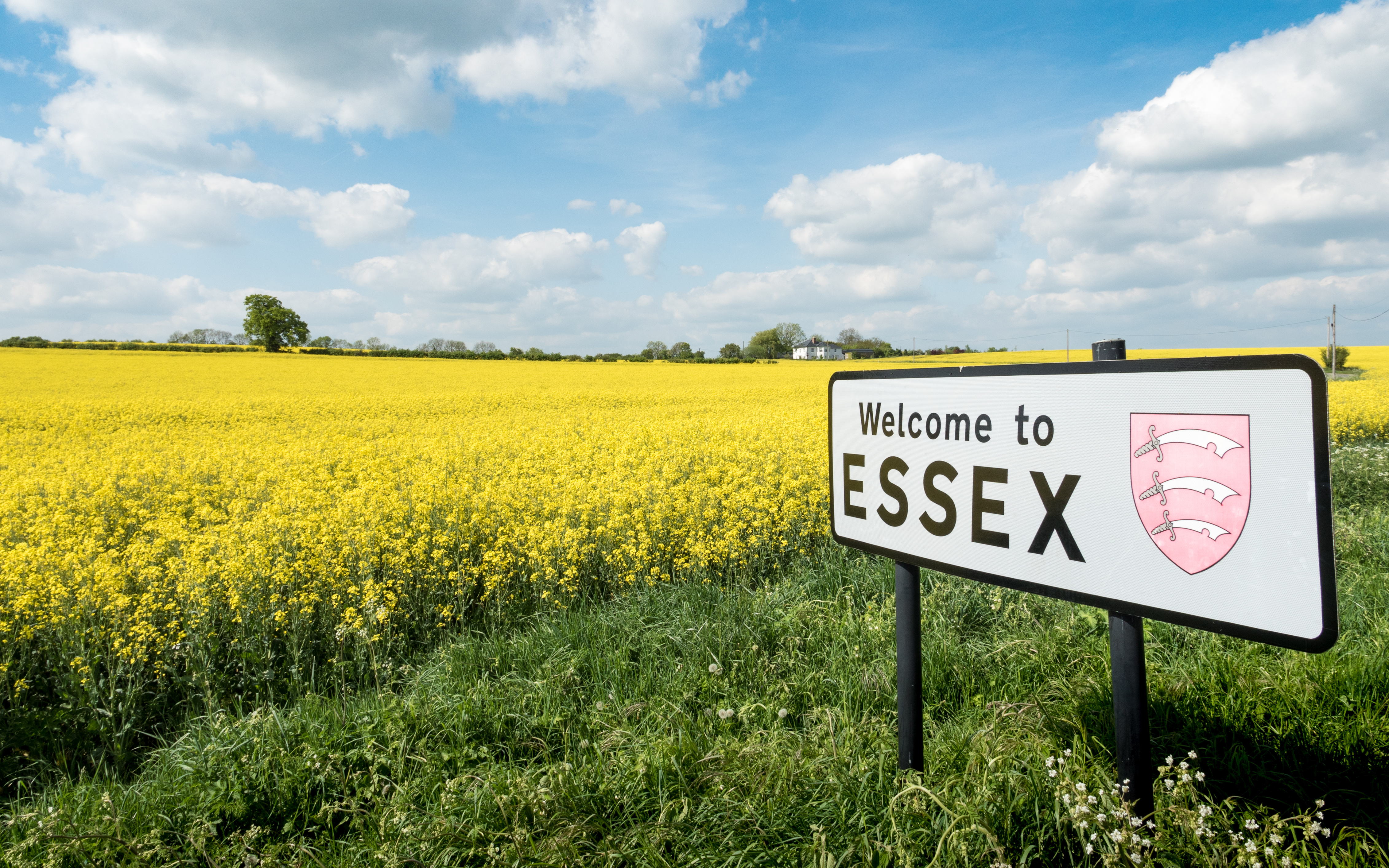 A sign in front of a large field of blooming yellow rapeseed which reads Welcome to Essex