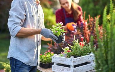 Gardener in garden gloves puts the pots with seedlings in the white wooden box on the table and a girl prunes plants in the wonderful nursery-garden on a sunny day