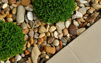 A pathway and gravel with small shrub plants