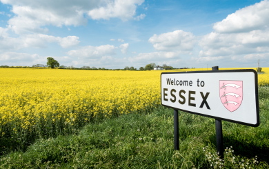 A sign in front of a large field of blooming yellow rapeseed which reads Welcome to Essex