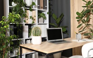 A laptop sits on a desk surrounded by a range of flowers and plants