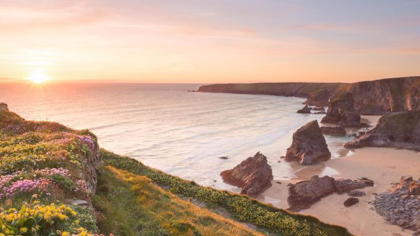 Beautiful sunset looking over Bedruthan steps in Cornwall, the sea looks tranquil and calm, the beach is empty and the green grass on the cliffs is accompanied by colorful yellow and pink flowers