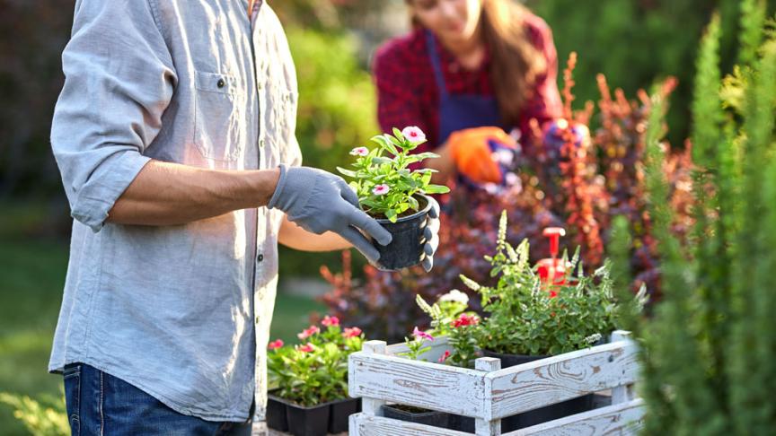 Gardener in garden gloves puts the pots with seedlings in the white wooden box on the table and a girl prunes plants in the wonderful nursery-garden on a sunny day