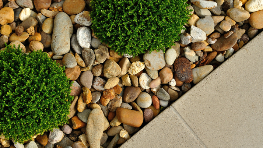 A pathway and gravel with small shrub plants