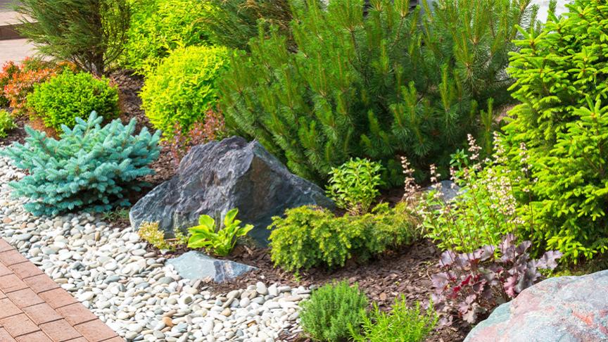 A garden bed with rocks and shrubs