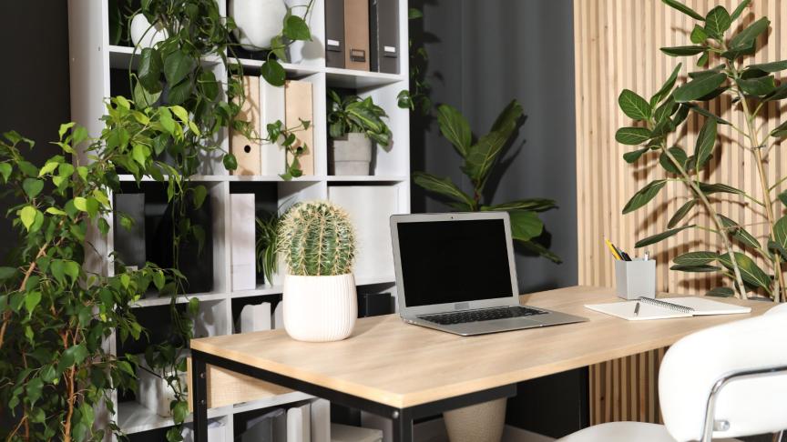 A laptop sits on a desk surrounded by a range of flowers and plants