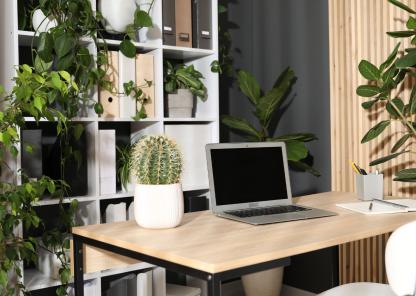 A laptop sits on a desk surrounded by a range of flowers and plants